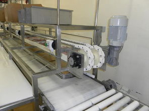 食品生產線圖片,食品生產線高清圖片 中山市東升鎮(zhèn)金諾泰機械設備廠,